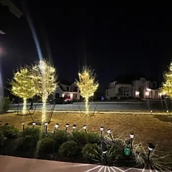 Christmas Light Installation Austin TX