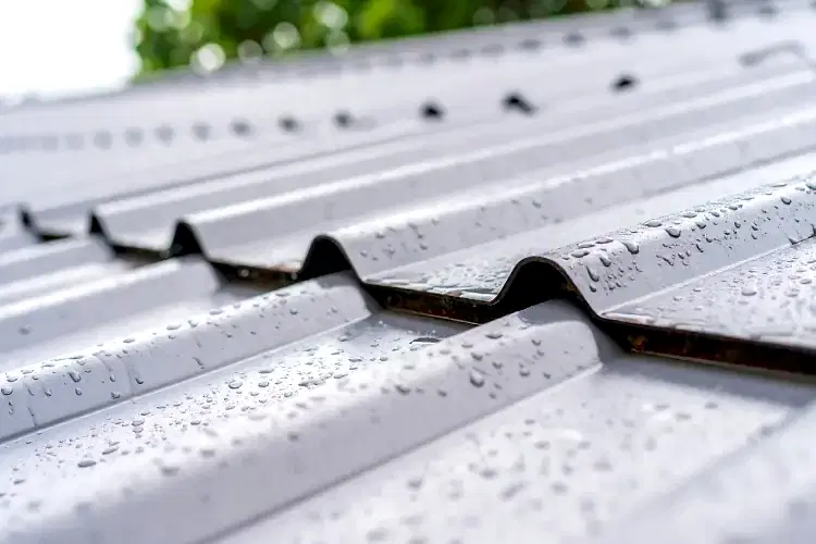 Shingle and Metal Roofs